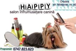 HAPPY DOG ORADEA în Oradea, Rogerius - program de funcționare