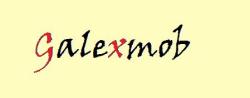 SC GALEXMOB SRL, Salonta program de funcționare