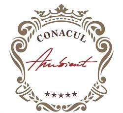 Conacul Ambient, Cristian program de funcționare
