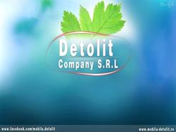 detolit company, Timişoara program de funcționare