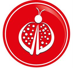Petreceri Fantastice în Bucureşti, Sector 1 - program de funcționare