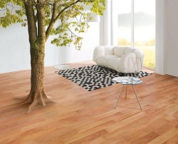 ARTISTIC FLOORS în Chiajna, C - program de funcționare