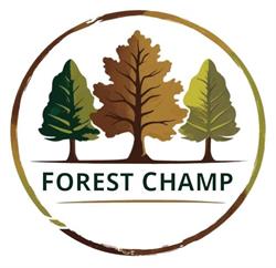 FOREST CHAMP SRL, Pecica program de funcționare