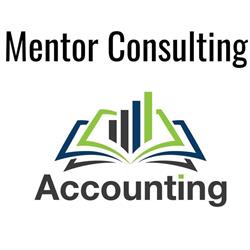 MENTOR CONSULTING SRL, Rădăuţi program de funcționare