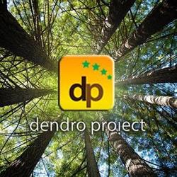 DENDRO PROIECT SRL, Bacău program de funcționare