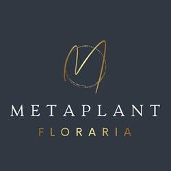 METAPLANT SRL, Satu Mare program de funcționare