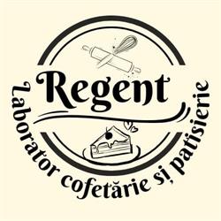 REGENT SRL, Satu Mare program de funcționare