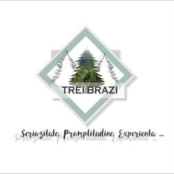 TREI BRAZI PROD COM SRL, Bistriţa program de funcționare