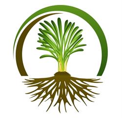 Bio Holistic SRL, Oradea program de funcționare