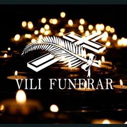 VILI FUNERAR SRL, Târgu Mureş program de funcționare