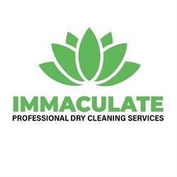 Curatatorie chimica Immaculate Dry Cleaning Brasov, program de funcționare