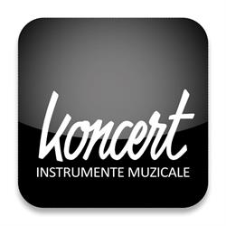 KONCERT SRL, Cluj-Napoca program de funcționare