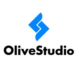 OLIVE STUDIO SRL, Sibiu program de funcționare