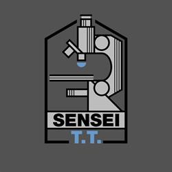 SENSEI T.T. SRL, Timişoara program de funcționare