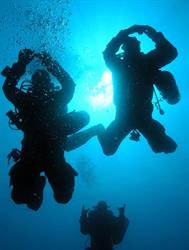 Marine Explorers Dive Center - Vama veche, Vama Veche program de funcționare