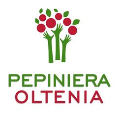 Pepiniera Oltenia, Târgu Jiu program de funcționare