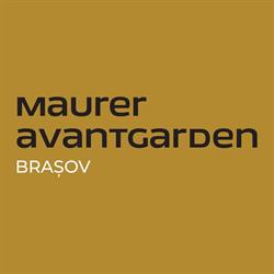 Avantgarden3, Braşov program de funcționare