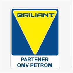 BRILIANT SRL, Roman program de funcționare
