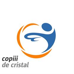 Copiii de Cristal, Braşov program de funcționare