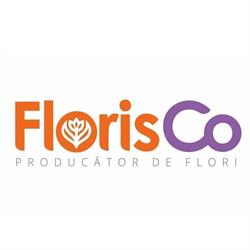 Floris în Bucureşti, Sector 6 - program de funcționare