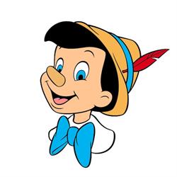 Gradinita Pinocchio, Braşov program de funcționare