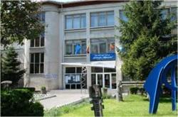 COLEGIUL NAŢIONAL DE ARTĂ, Bacău program de funcționare