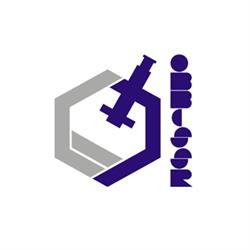 OBBCSSR, Bucureşti program de funcționare