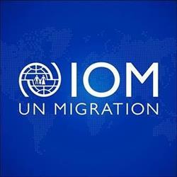 OIM - IOM Romania în Bucureşti, Sector 2 - program de funcționare