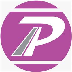 Trans Pink International, Satu Mare program de funcționare