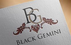 BLACK GEMINI SRL, Cluj-Napoca program de funcționare