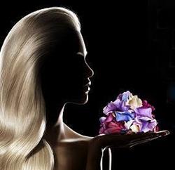 Anastasia Body Sculpture în Bucureşti, Sector 1 - program de funcționare