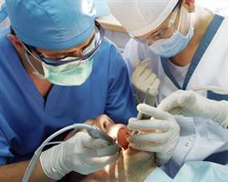 Chirurgie dentara în Bucureşti, Sector 1 - program de funcționare