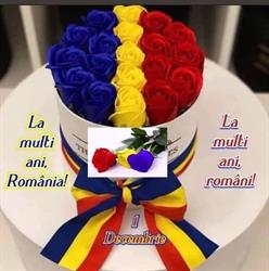 Centrul Şcolar de Educaţie Incluzivă Turnu Roşu, program de funcționare