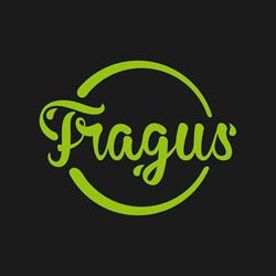 FRAGUS SRL, Baia Mare program de funcționare