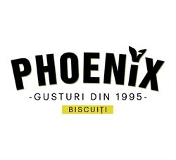 PHOENIX IND SA, Brăila program de funcționare