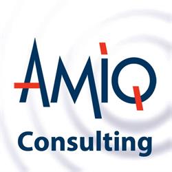 AMIQ CONSULTING SRL în Bucureşti, Sectorul 1 - program de funcționare