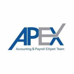 APEX TEAM INTERNATIONAL SRL în Bucureşti, Sectorul 2 - program de funcționare