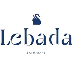 LEBADA SRL, Satu Mare program de funcționare