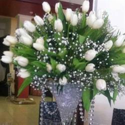 Elegance Design, Iaşi program de funcționare