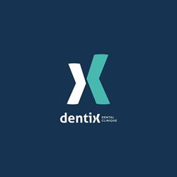 DENTIX SRL, Roman program de funcționare