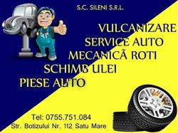 SILENI SRL, Satu Mare program de funcționare