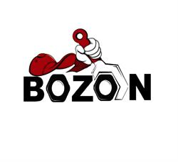 BOZON AUTO SRL în Bucureşti, Sectorul 4 - program de funcționare