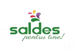 SALDES SRL, Dej program de funcționare