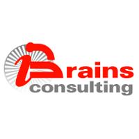 BRAINS CONSULTING SRL, Timişoara program de funcționare