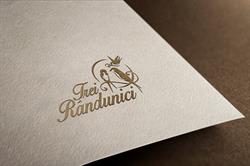 TREI RANDUNICI SRL, Brăila program de funcționare