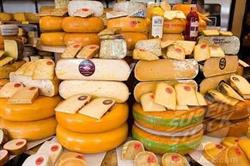 OLANDIA CHEESE SRL, Codlea program de funcționare
