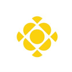 OPTICAL ART SRL, Cluj-Napoca program de funcționare