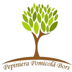Pepiniera Pomicola Bors, program de funcționare