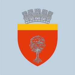 Primaria Municipiului, Oneşti program de funcționare