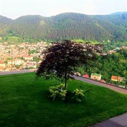 MSE NEW GARDEN -Proiectari Peisagistice Brasov, program de funcționare